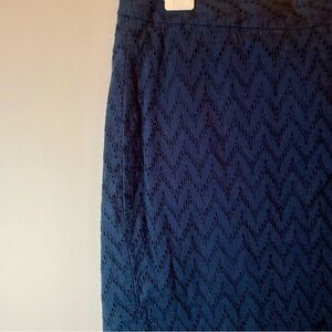 Banana Republic Navy Blue Women's Skirt
